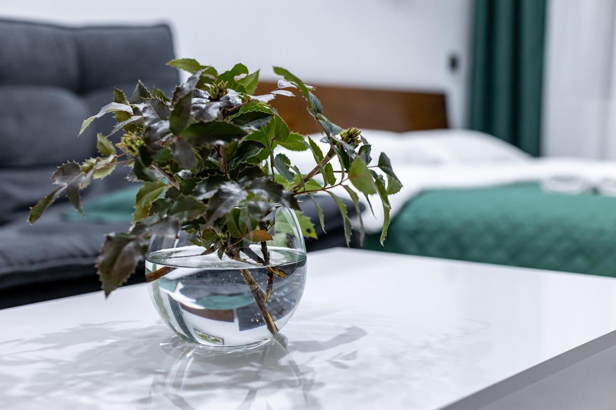 Cozy Apartments Center Lviv Luaran gambar